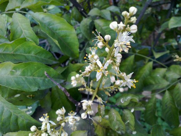 老款诺基亚n9,诺基亚n9还能用吗