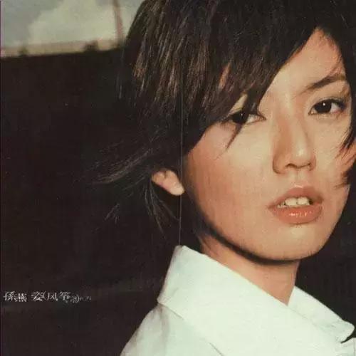 孙燕姿蔡健雅谁更有实力,孙燕姿唱歌实力