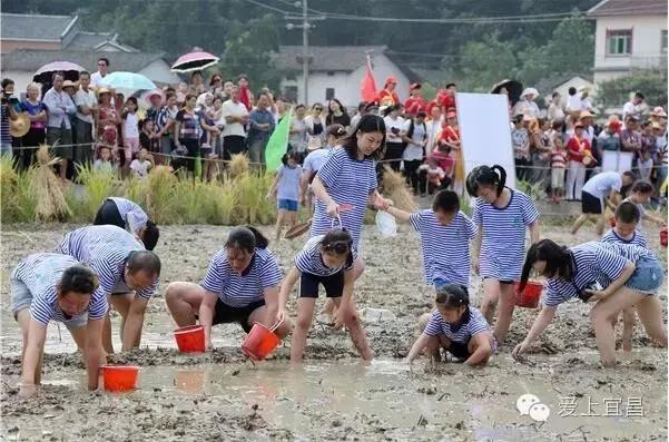 宜昌中秋观景赏月,宜昌中秋旅游人次多少