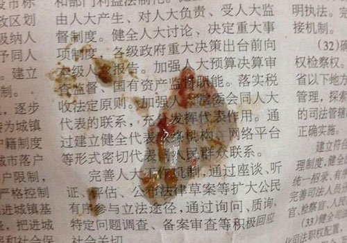 狗狗便血吃了云南白药多久能止血,狗狗便血一般几天能好