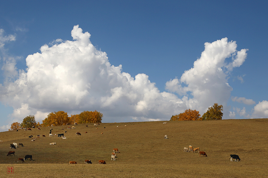 坝上草原雪景航拍,坝上草原秋景美图