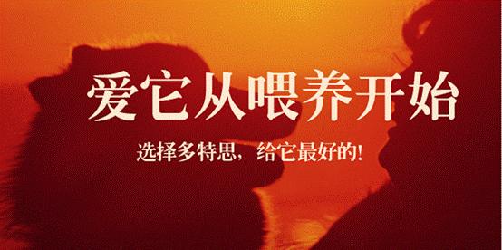 做过慧聪网和红孩子的郭涛想改变宠物行业规则