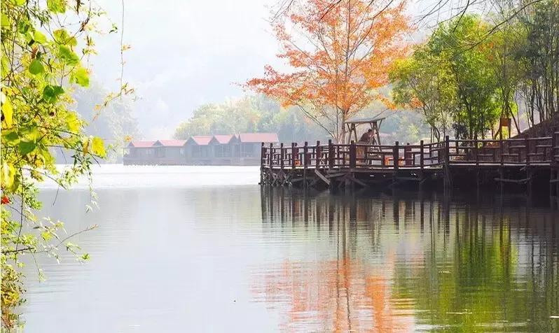 福建海边旅游推荐民宿,福建小木屋