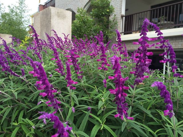 上班累了可种瓜种菜在昆明这家大数据公司上班真洋气！