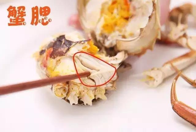 大闸蟹知识教程,大闸蟹基础知识培训