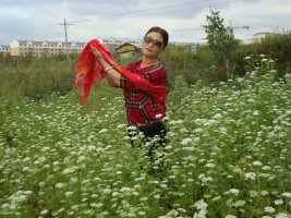 死里逃生42集完整版,死里逃生的瞬间