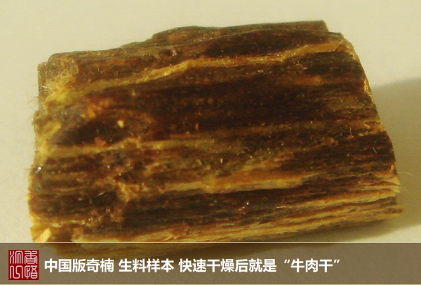 土豪扫货沉香惊世界中国版奇楠名声在外-沉香基础知识45