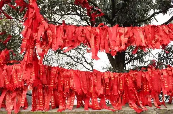 成都附近的旅游景点推荐四姑娘山,距成都五个多小时的地方