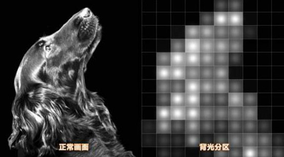 海信实力高光时刻,海信从孤注一掷到全面出击