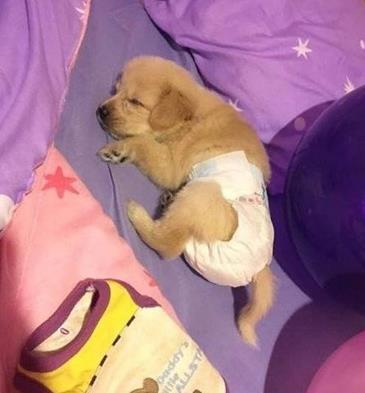 送男闺蜜生日礼物搞笑,闺蜜搞笑生日礼物推荐