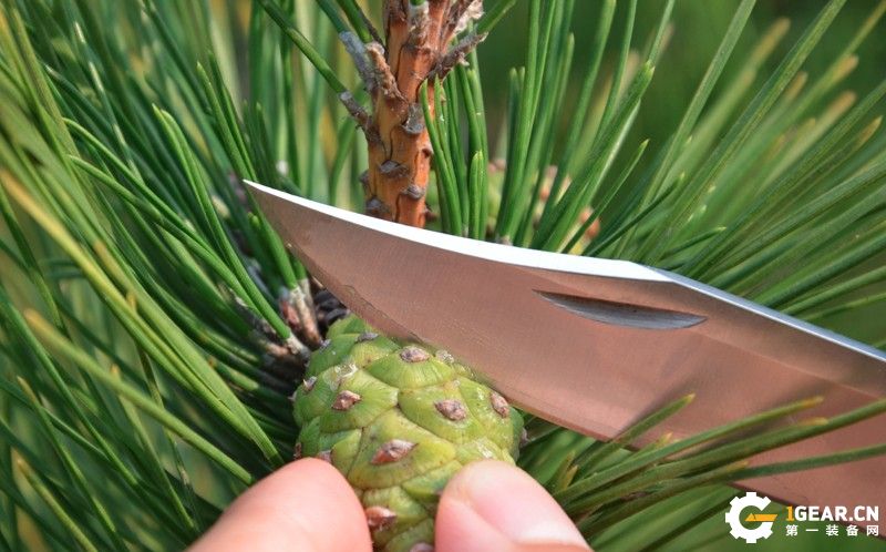 巴克刀测评,巴克小刀测评