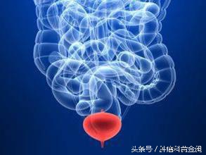 膀胱癌中医辨证分析,膀胱癌中医辨证