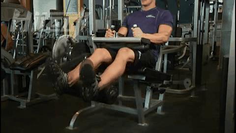 健身房练腿器械使用方法,为什么要练腿