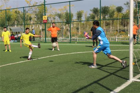 畅享阳光运动会,点燃生命激情逐梦运动赛场