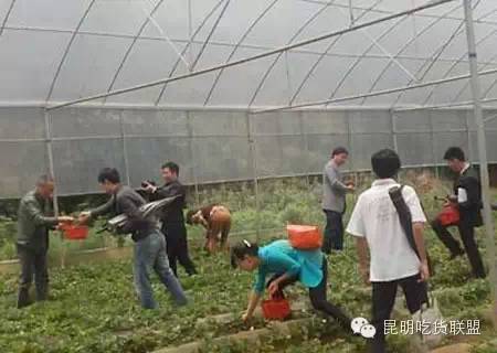 板扎昆明,板扎云南烧烤