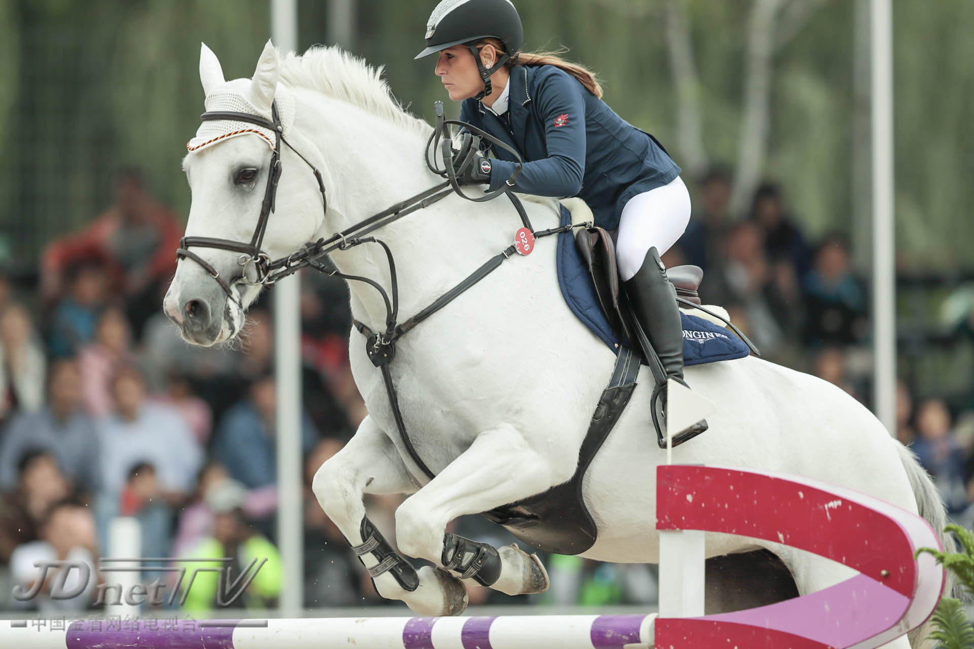 浪琴马术世界杯,浪琴马术赛程