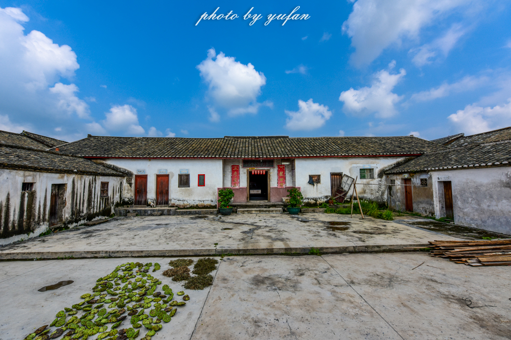 丝路奇迹:观围屋之典范,赏苏铁之传奇