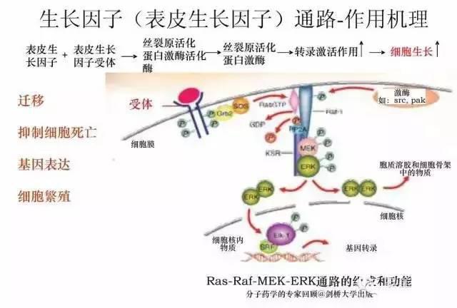 诺贝尔奖成果都是真理吗,诺贝尔奖获得者证明了什么