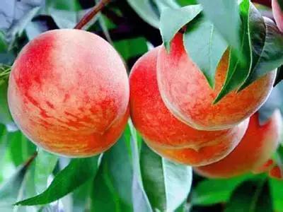 给你N个理由爱上平谷！