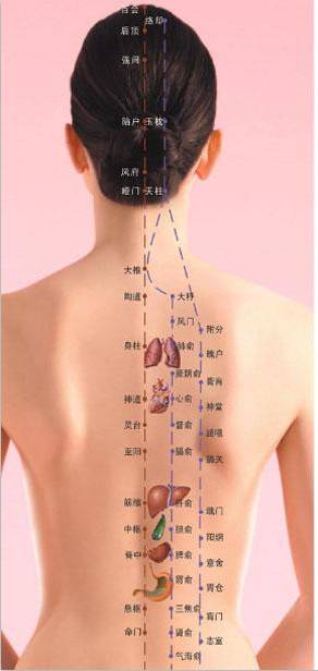 ㊙女人为什么胖在腰部，你所忽视的秘密