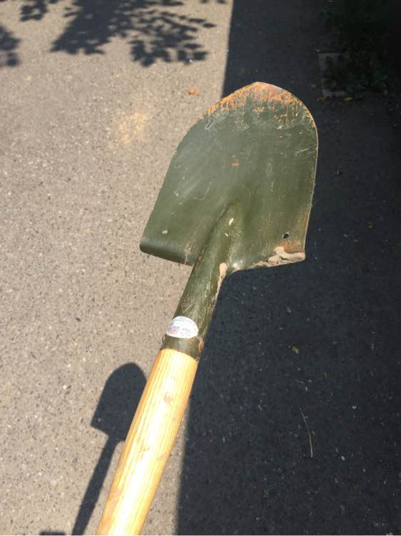 下班回家捡到小动物带回家养,捡到流浪狗不想养怎么处理