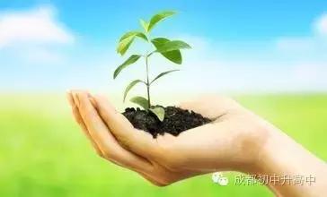 一张图秒懂初中知识,一张图看懂幼儿学习法