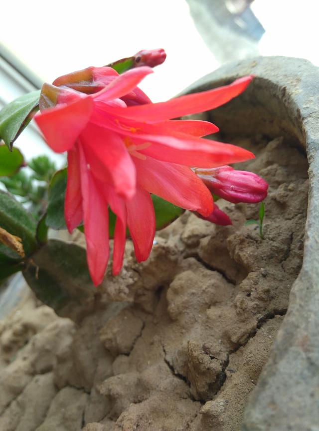 浓浓的姐妹亲情感悟,感悟亲情共度中秋