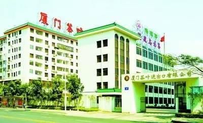 海堤茶叶65年造就海堤精神,海堤茶叶一枝春