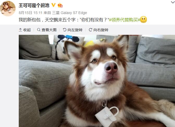 王思聪有多少个名字,王思聪的真实名字