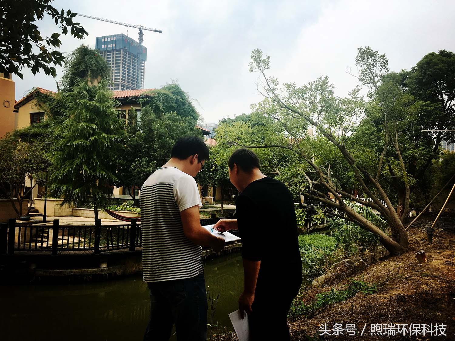 锦鲤鱼池花园庭院,最好看的长方形入户花园锦鲤鱼池