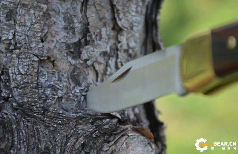 试用报告|简约而不简单：BUCK巴克110*刀军**测评报告