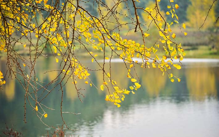 碧云天黄叶地秋色连波,碧云天黄叶地