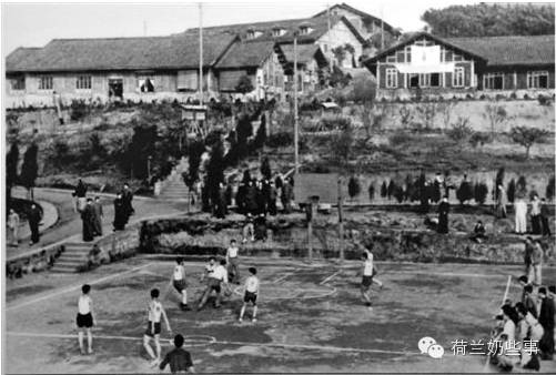 荷兰奶牛在中国参加过抗战的长征，你知道吗？