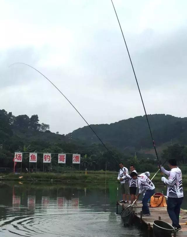 娓旇幏鎴樻姤,澶滈挀娓旇幏鎴樻姤