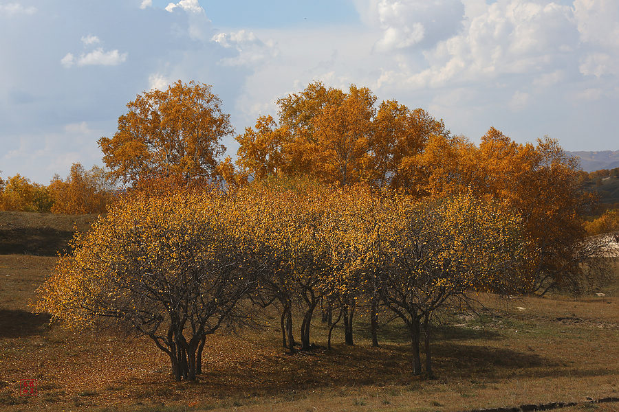 坝上草原雪景航拍,坝上草原秋景美图
