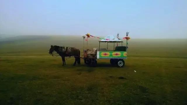 情怀or面包？事业or员工？偏爱or体验？