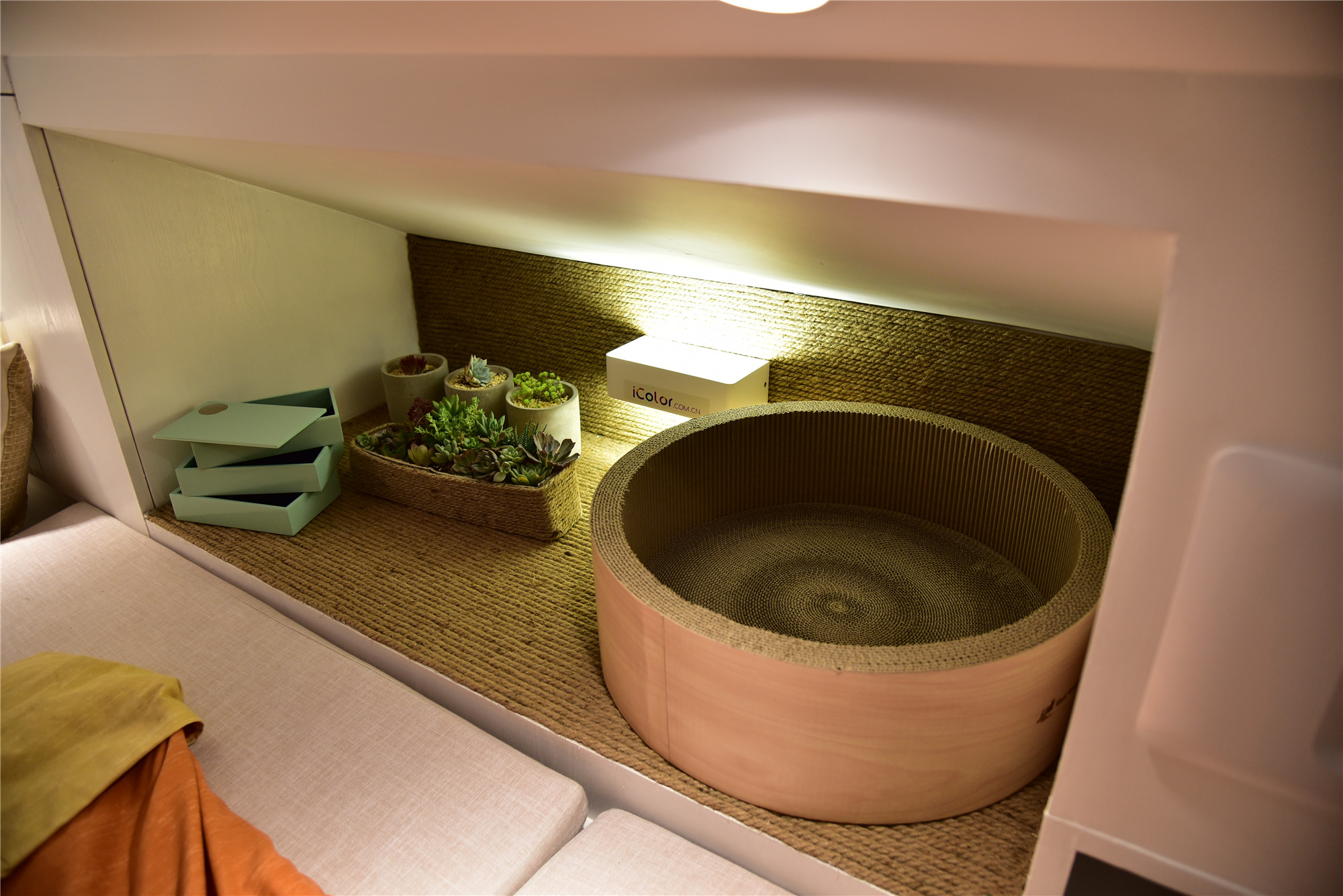 梦想改造家王平仲视频完整版,梦想改造家王平仲