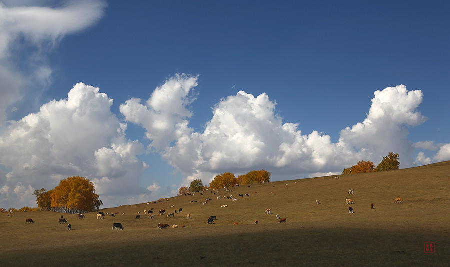 坝上草原雪景航拍,坝上草原秋景美图