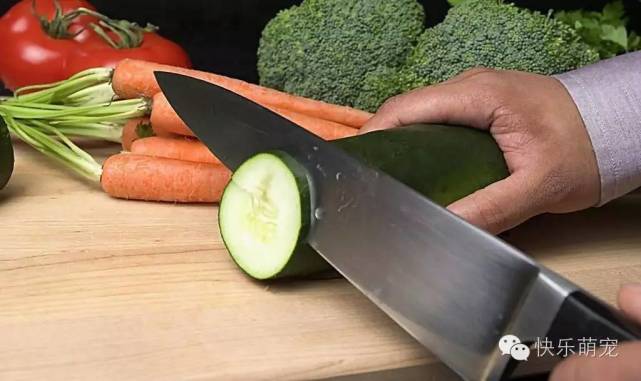 狗狗牙齿发黄怎么去除,狗狗牙齿黄怎么办