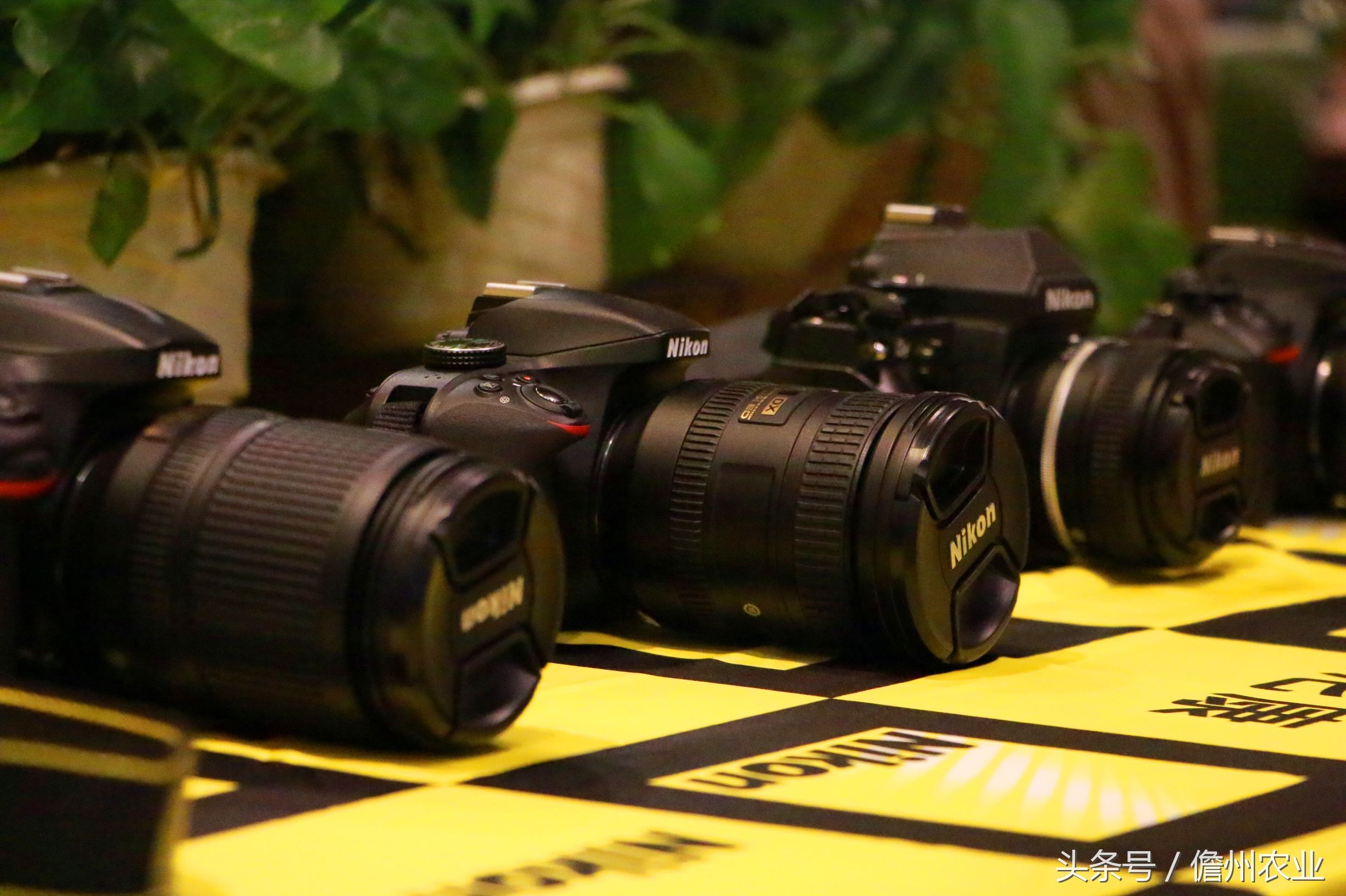 去哪里学习摄影和剪辑,大家一起学习摄影