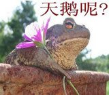 说一说韩国代购,韩国代购套路深吗