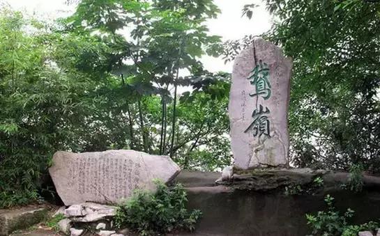 重庆哪些东西可以免费领取,重庆免费领取特权项目