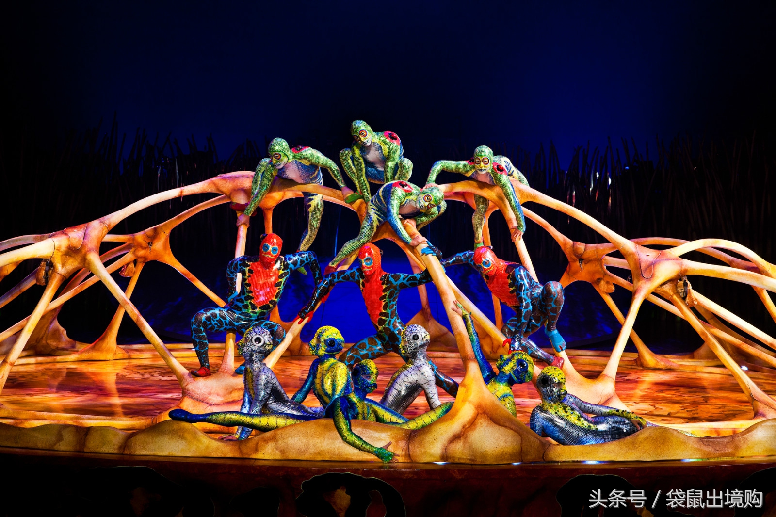 玩转-拉斯维加斯~