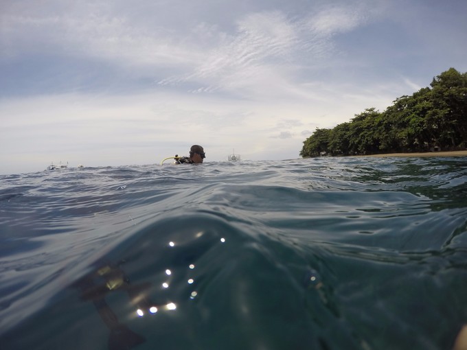菲律宾潜水攻略 (菲律宾潜水游记)