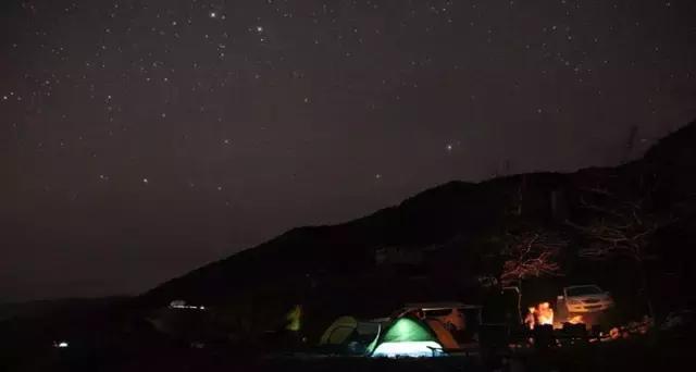 奇葩牧场|不养牛不养羊,居然养这个?