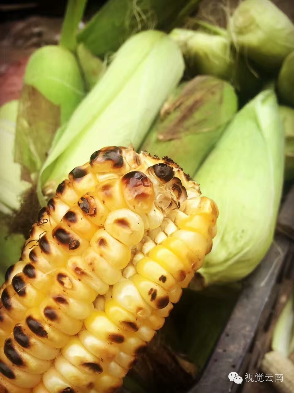 云南特色小吃玉米面饼,云南街边小吃洋芋饼怎么搞