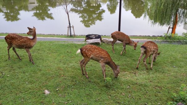透过细节看本质图片,透过细节看男人的视频