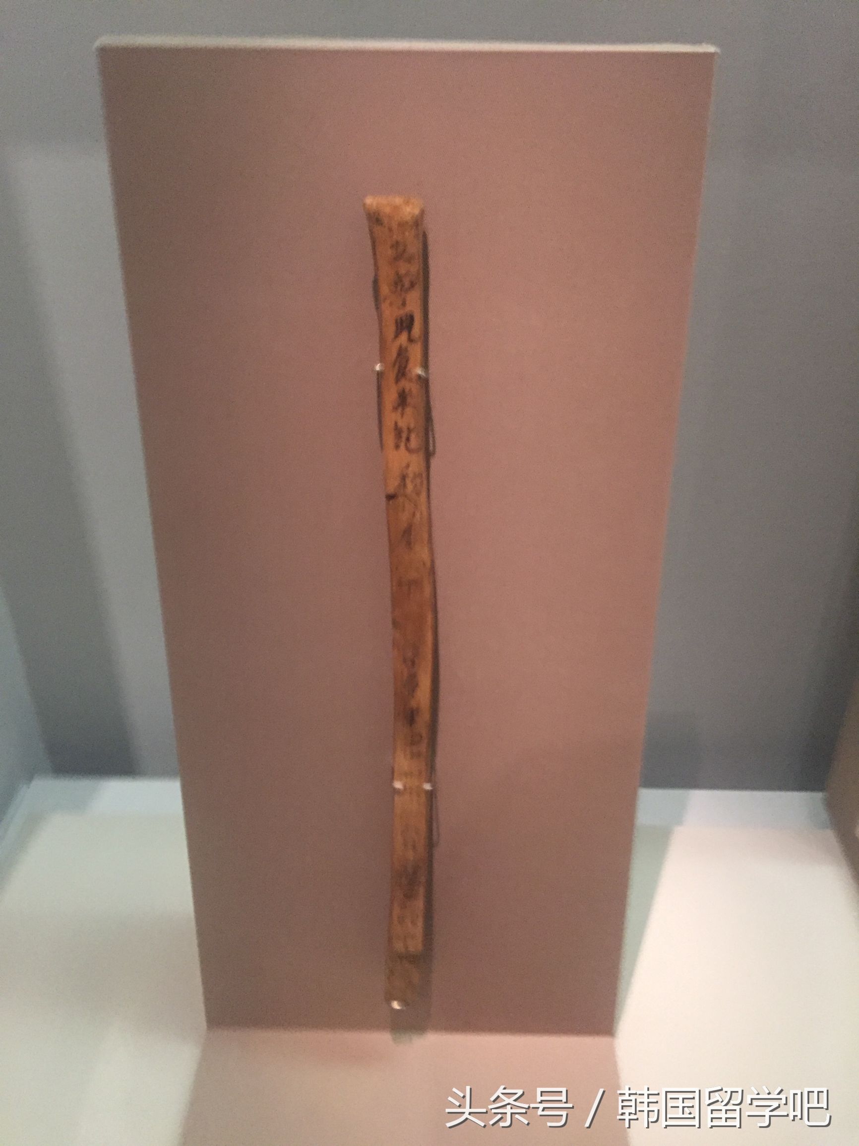 老教授带学生去山洞找文物,韩国教授来到中国博物馆