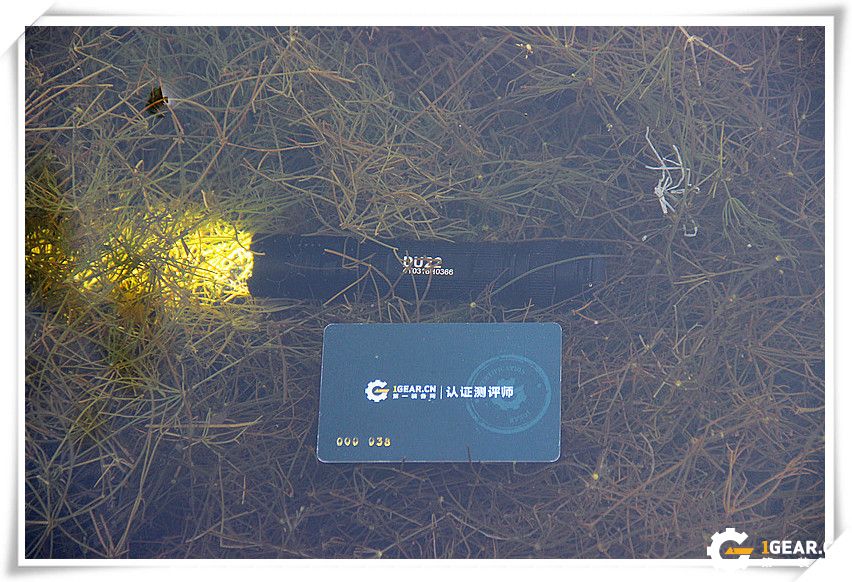 试用报告|有你的夜晚不在黑暗——博冠