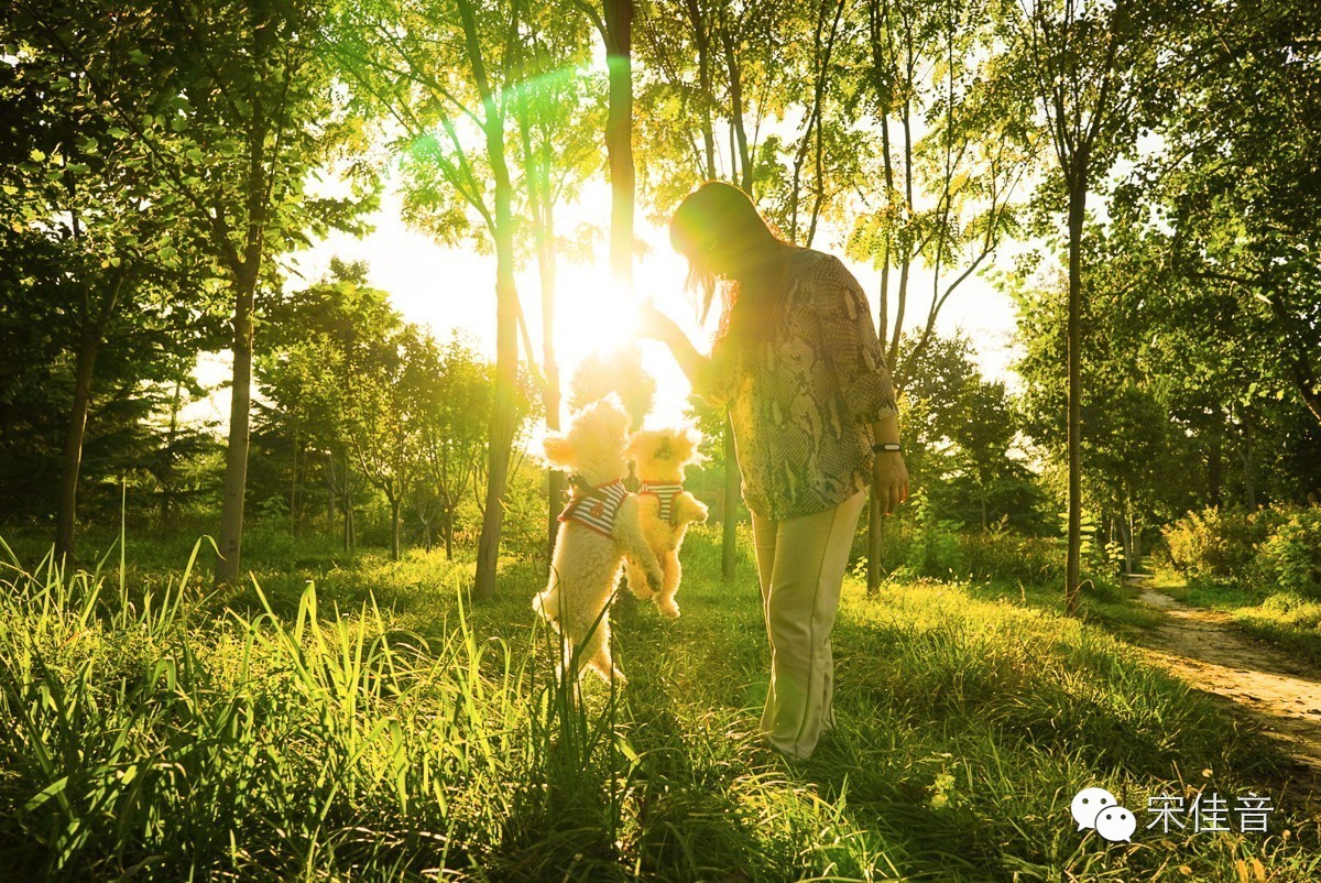 比故宫大3倍景色堪比颐和园,比御花园好看无数倍的皇家园林